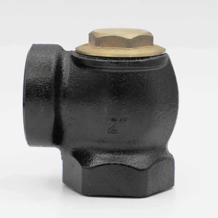 Angle-Check-Valve-for-Petrol-Pump